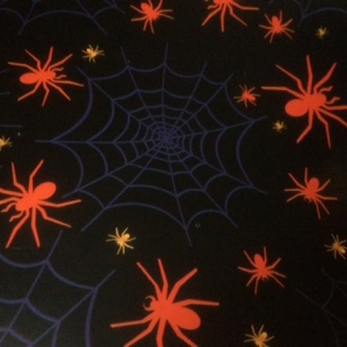 Papel de Presente Couche 49x59cm